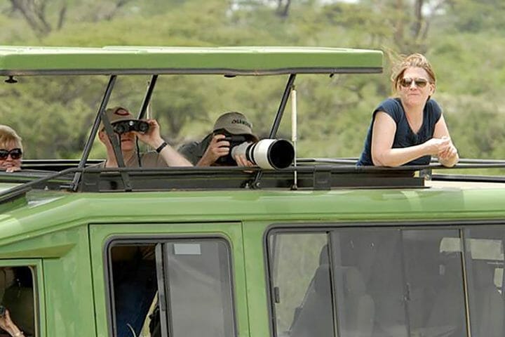game drive in tanzania, safaris in serengeti national park